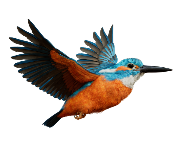 KingFisher_2310_03.png KingFisher_2310_03.png