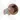 Copper-coloured wall holder with a modern round shape, ideal as a stylish accessory in the bathroom.