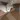ModuloPlus_C71_Notenhout_SS-wastafelblad_3200.jpg