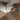ModuloPlus_C77_Notenhout_SS-wastafelblad_3200.jpg