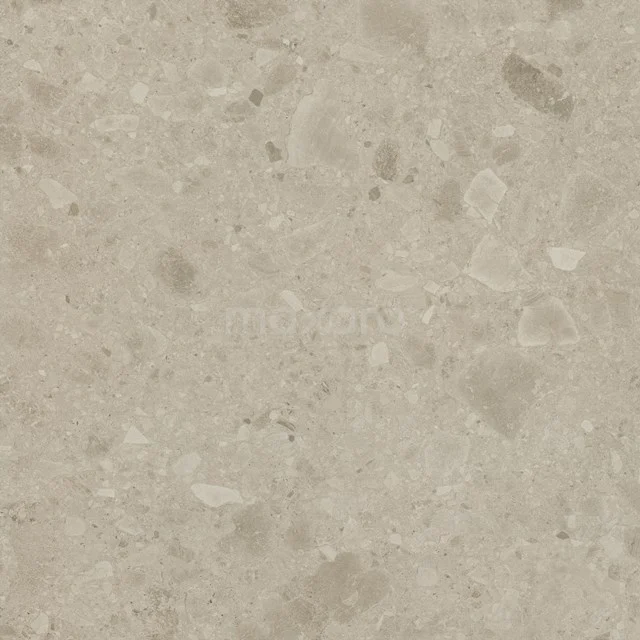 Rocker Sand Vloer-/Wandtegel | 60x60 cm Beige Natuursteenlook 503-120102