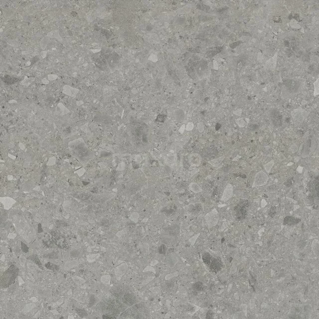 Rocker Grey Vloer-/Wandtegel | 60x60 cm Grijs Natuursteenlook 503-120103