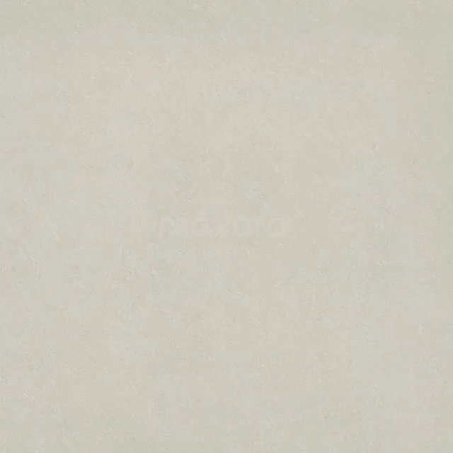 Bodenfliese/Wandfliese Pure Ivory 60x60cm Uni Rectified 301-050101