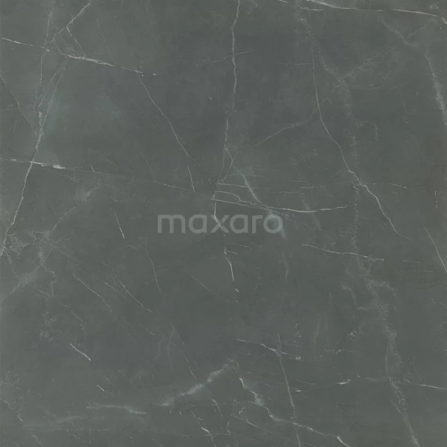 Vixen Dark Grey Vloer-/Wandtegel | 60x60 cm Grijs Natuursteenlook 303-110101