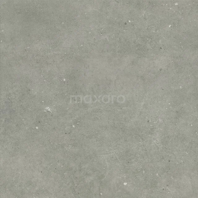 Echo Grey Floor/wall tile | 60x60 cm Grey Uni 301-060103