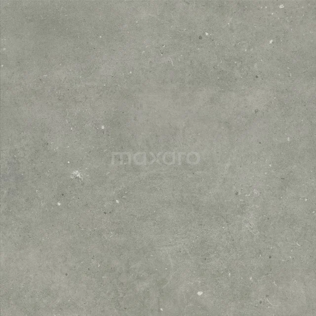 Echo Grey Vloer-/Wandtegel | 60x60 cm Grijs Uni 301-060103