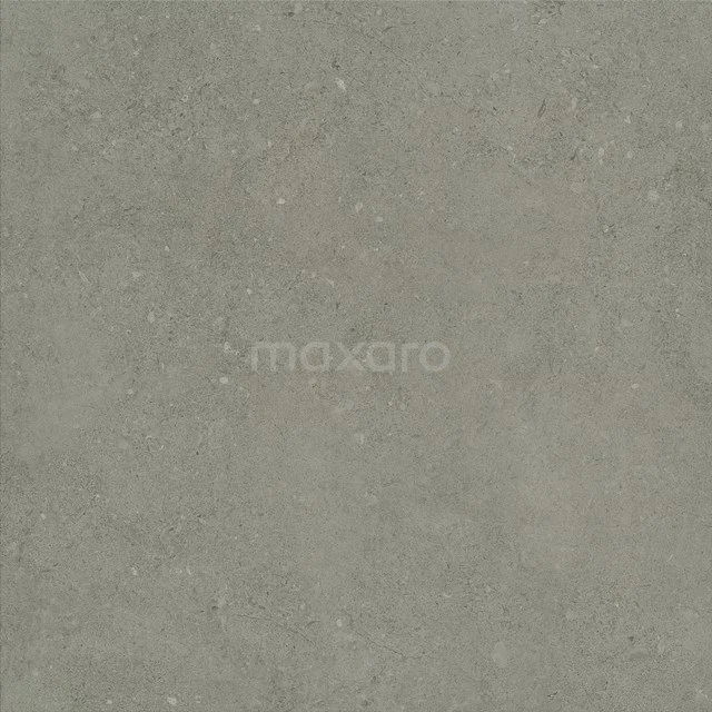 Muse Grey Vloer-/Wandtegel | 60x60 cm Grijs Natuursteenlook 303-200102