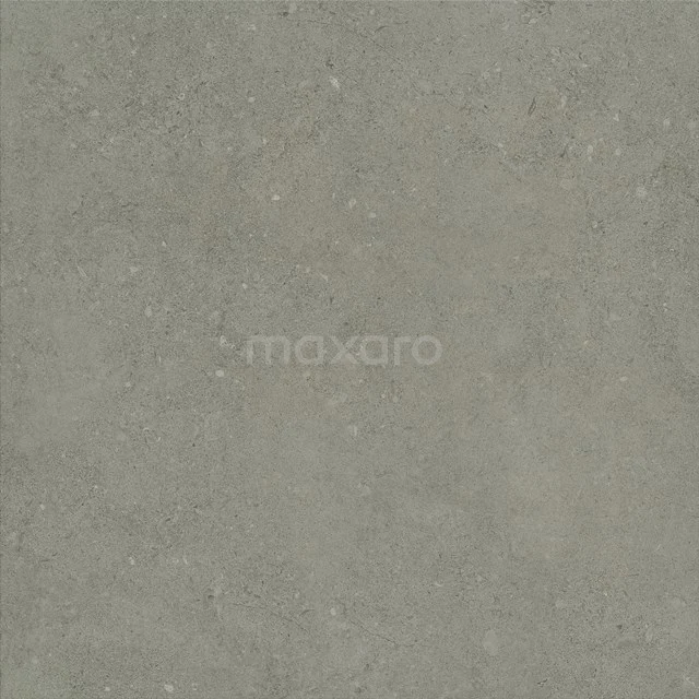 Tile sample, Floor tile/Wall tile, Muse Grey 303-2002TS