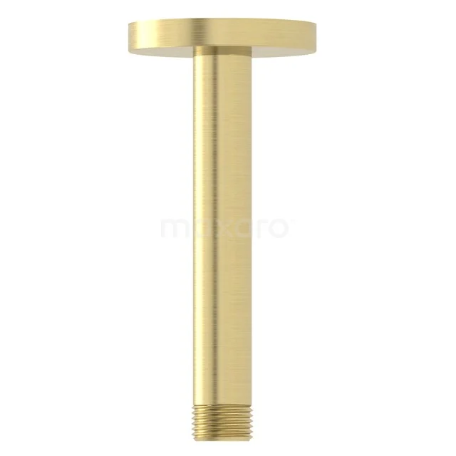 Duscharm Radius, Deckenmontage, Hellgold 99.350.520LG