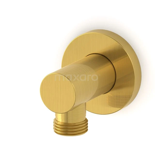 Brauseschlauchverbinder Radius Gold, Wandmontage, Gold 55.156.600GGN