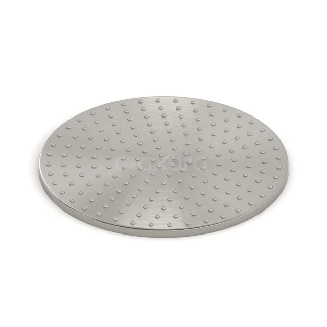 Radius Regendouche | Rvs 25 cm Regendouche 99.200.300BR