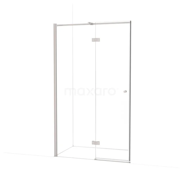 Amber Shower door | 110 cm Stainless steel Clear glass Pivot door WTB55310BR