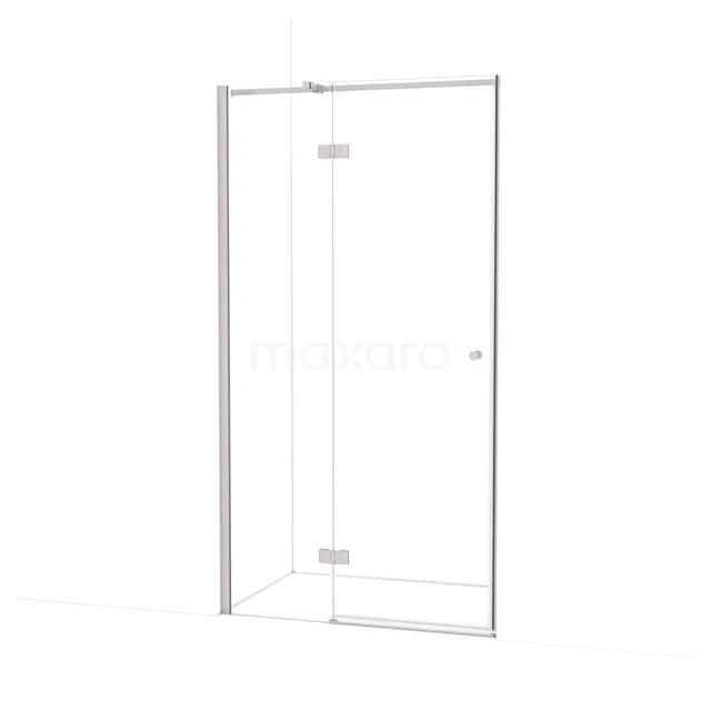 Amber Shower door | 100 cm Stainless steel Clear glass Pivot door WTB36310BR