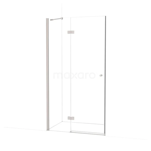 Amber Shower door | 100 cm Stainless steel Clear glass Pivot door WTB36210BR