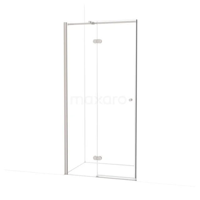 Amber Shower door | 90 cm Stainless steel Clear glass Pivot door WTB35320BR
