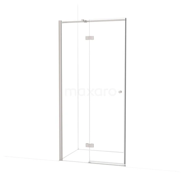 Amber Shower door | 90 cm Stainless steel Clear glass Pivot door WTB35310BR
