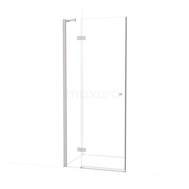 Amber Shower door | 80 cm Stainless steel Clear glass Pivot door WTB16210BR