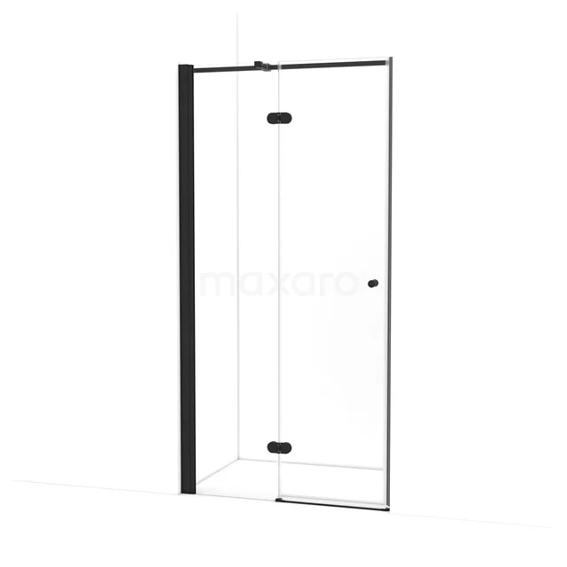 Amber Shower door | 100 cm Matte black Clear glass Pivot door WTB453320M
