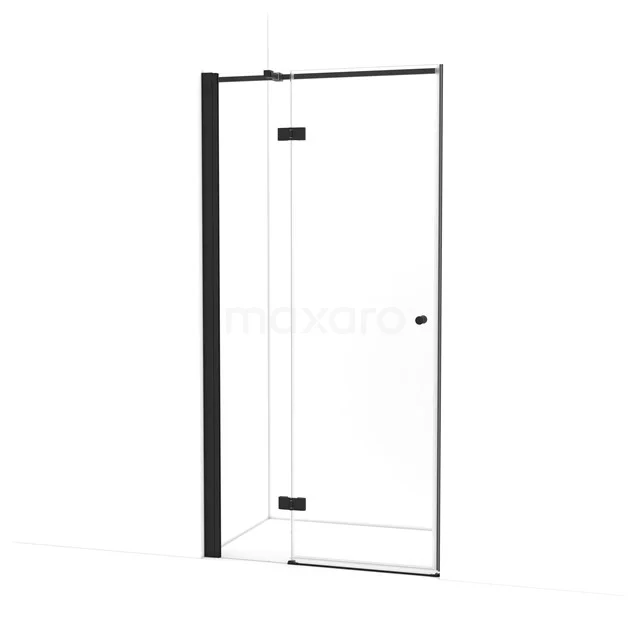Amber Shower door | 100 cm Matte black Clear glass Pivot door WTB363310M