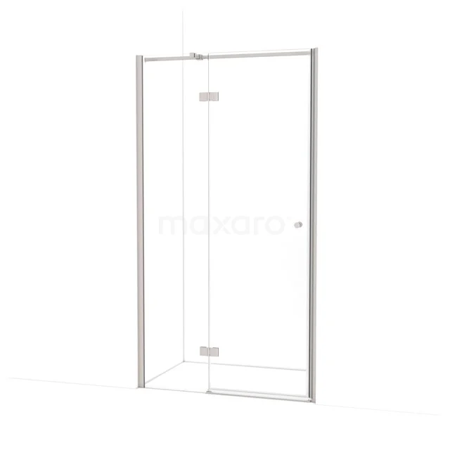 Amber Shower door | 110 cm Stainless steel Clear glass Pivot door WTC46310BR