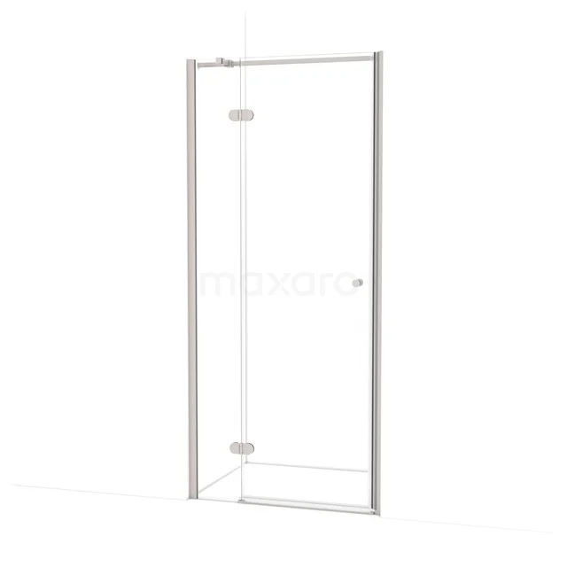 Amber Shower door | 90 cm Stainless steel Clear glass Pivot door WTC26320BR