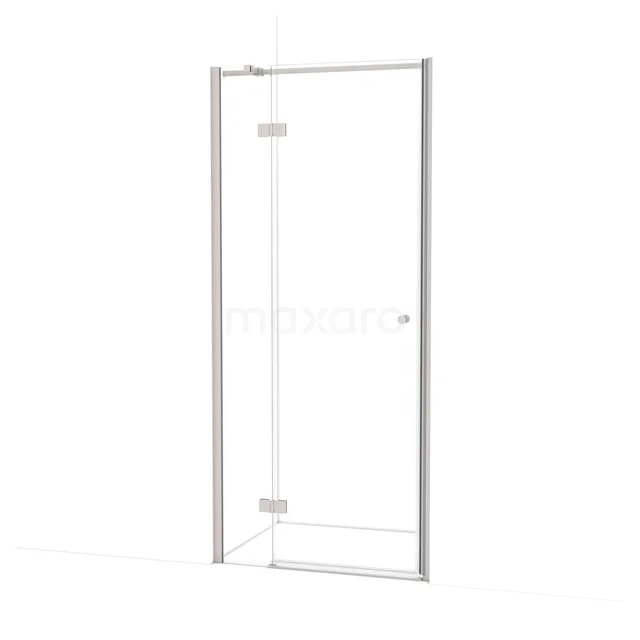 Amber Shower door | 90 cm Stainless steel Clear glass Pivot door WTC26310BR