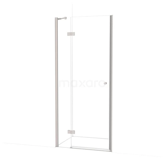 Amber Shower door | 90 cm Stainless steel Clear glass Pivot door WTC26210BR