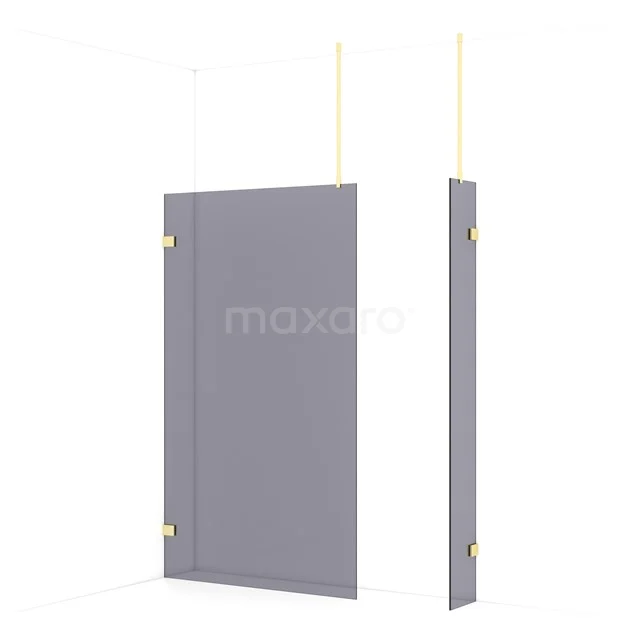Diamond Walk-in shower | 120x30 cm Light gold Smoke glass 2 fixed walls IDB1203921LG