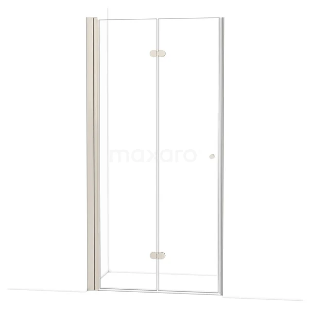Diamond Shower door | 100 cm Stainless steel Clear glass Folding door DDV101220BR