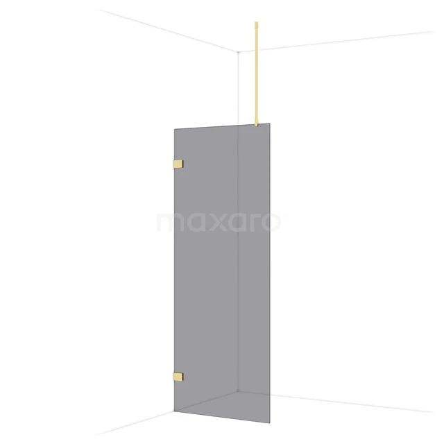 Glass shower wall with minimalist design, clear finish and gold-coloured hinges, perfect for modern bathrooms.