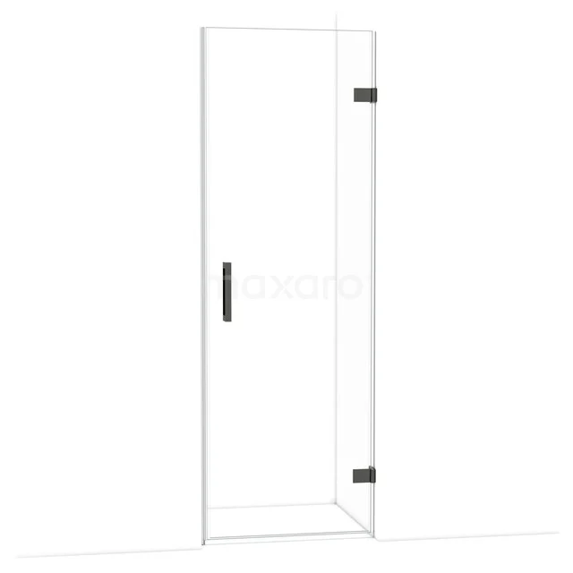 Glazen douchedeur met zwart metalen handgreep en scharnieren, ideaal voor moderne badkamers.