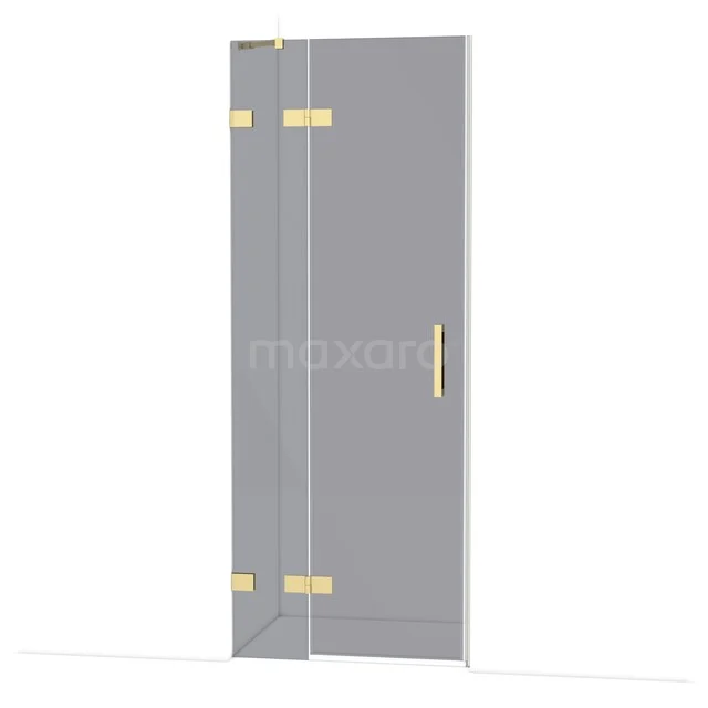 Glass shower door with gold hinges and handle, sleek design for modern bathroom.