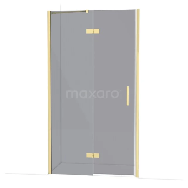 Glass shower door with gold accents, modern appearance, perfect for a stylish bathroom.