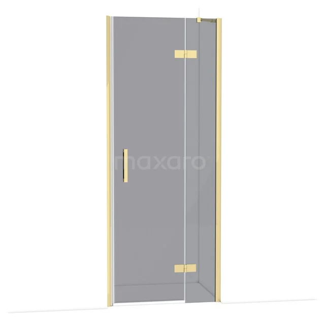 Glass shower door with gold hinges and handle, sleek design, ideal for a modern bathroom style.