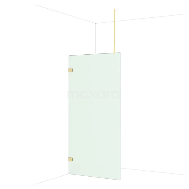 Frosted glass shower wall with gold-coloured hinges, modern design, perfect for a stylish and luxurious bathroom decor.