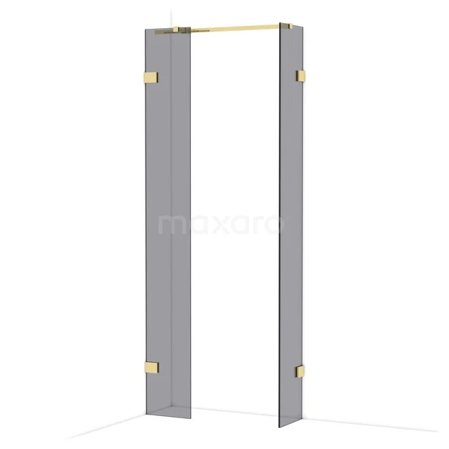 Grijze draaideur met goudkleurige scharnieren voor de douche, modern design en sterke afwerking voor een stijlvolle badkamer.