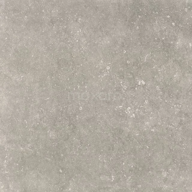Freestone Grey Vloer-/Wandtegel | 59,5x59,5 cm Grijs Natuursteenlook 403-080101