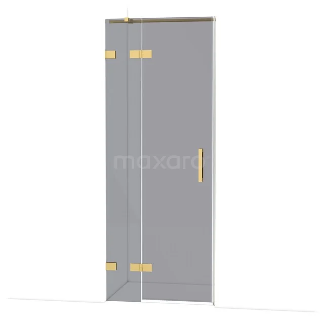 Douchedeur van helder glas met gouden scharnieren en handgreep, modern ontwerp voor luxe badkamer inrichting.