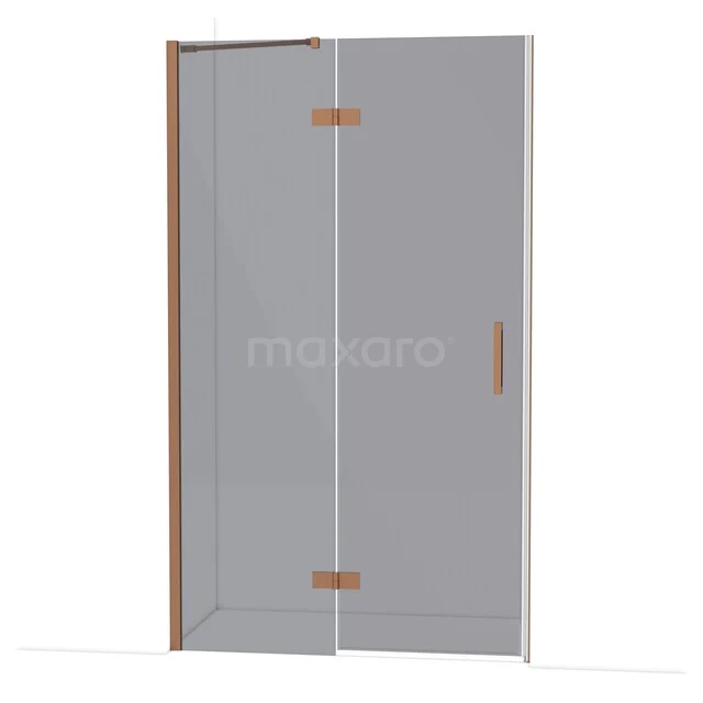 Glass shower door with corner entry, clear glass, stainless steel hinges and handle, ideal for modern bathrooms.