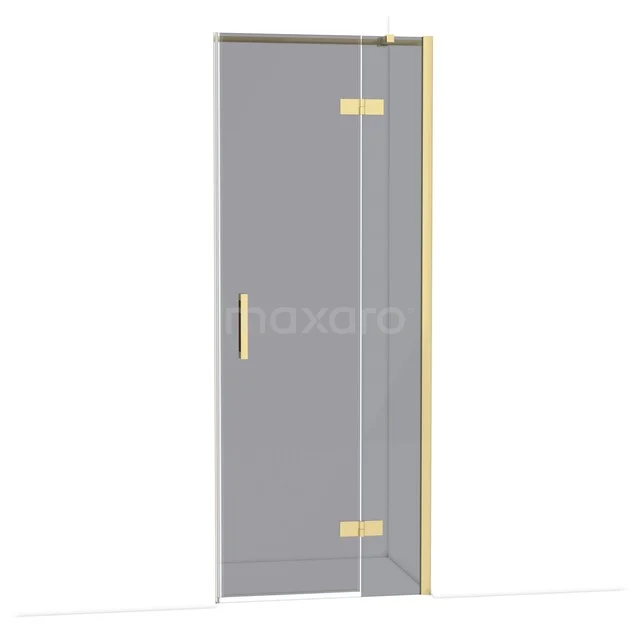 Glazen douchedeur met goudkleurige scharnieren en handgreep, strak design, ideaal voor een luxe uitstraling in de badkamer.