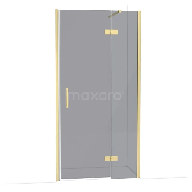 Glass shower door with gold hinges and handle, sleek design, perfect for a modern bathroom.