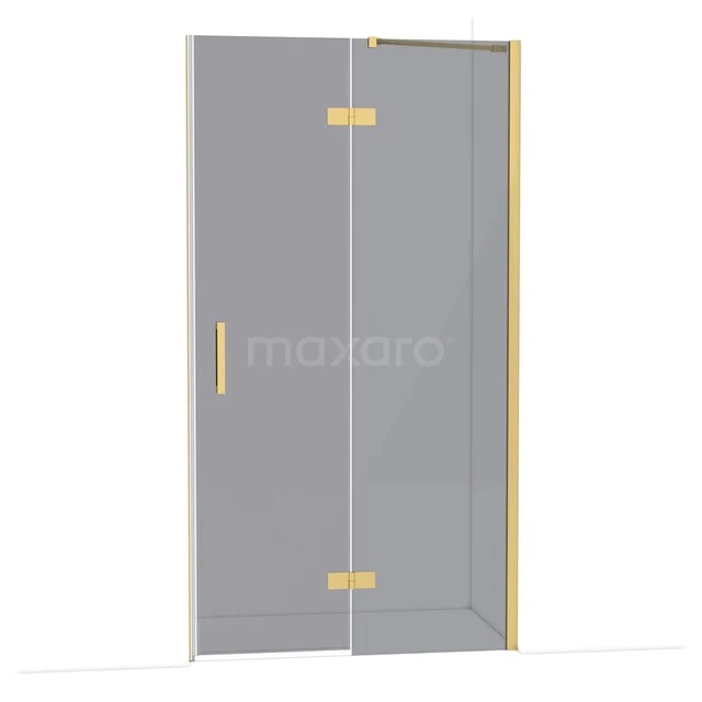 Glazen douchedeur met goudkleurige scharnieren en handgreep, ideaal voor een moderne badkamerstijl.