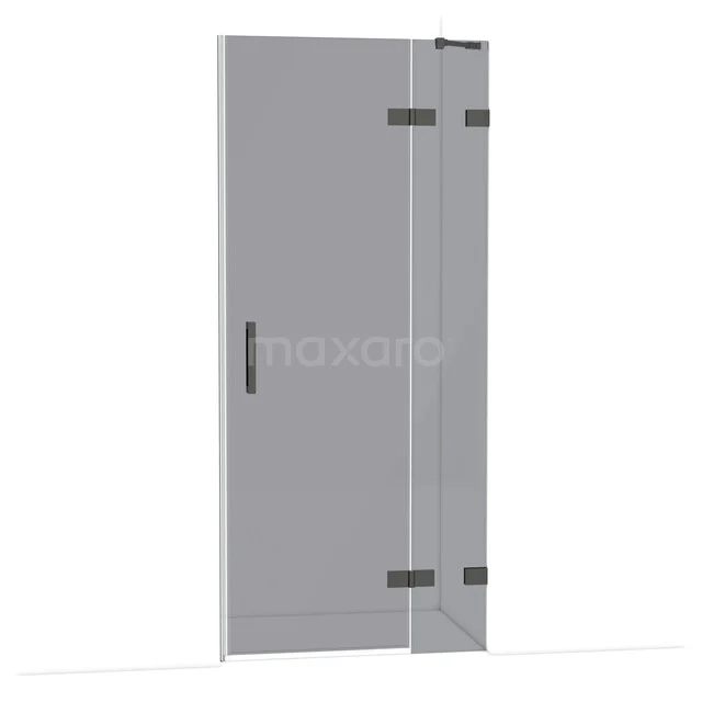 Glazen douchedeur met scharnieren, rechte handgreep, strak design, ideaal voor moderne badkamerinrichting.