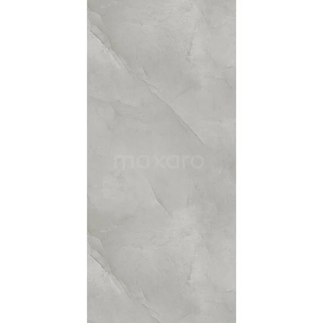 SPC wandpaneel | 120x260 cm | Lichtgrijs WP01-2612-04 SPC wandpaneel | 120x260 cm | Lichtgrijs WP01-2612-04