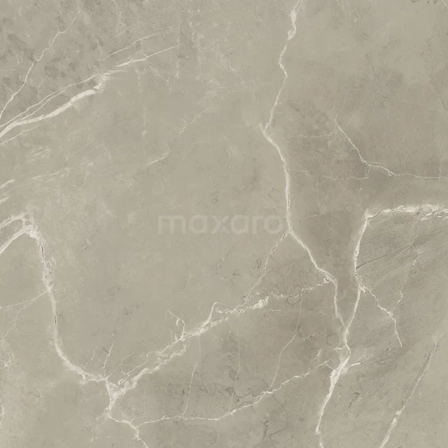 Lucido Greige Gloss Floor/wall tile | 60x60 cm Beige Natural stone look 503-050104