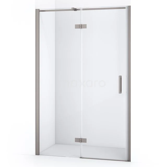 Diamond Shower door | 110 cm Stainless steel Clear glass Pivot door DDB21652310BR
