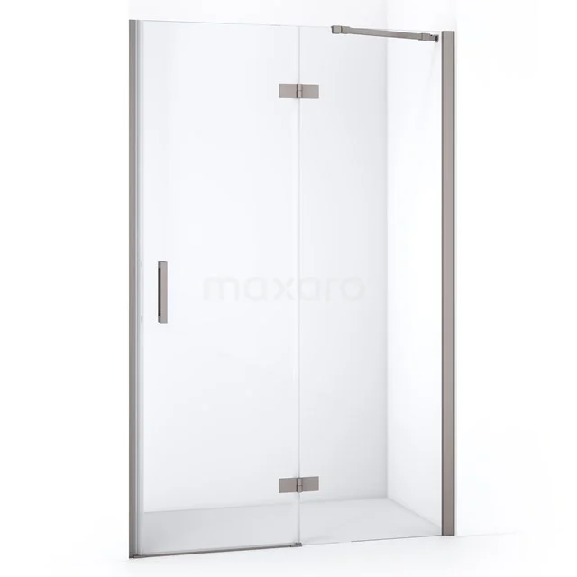 Diamond Shower door | 120 cm Stainless steel Clear glass Pivot door DDB22661210BR