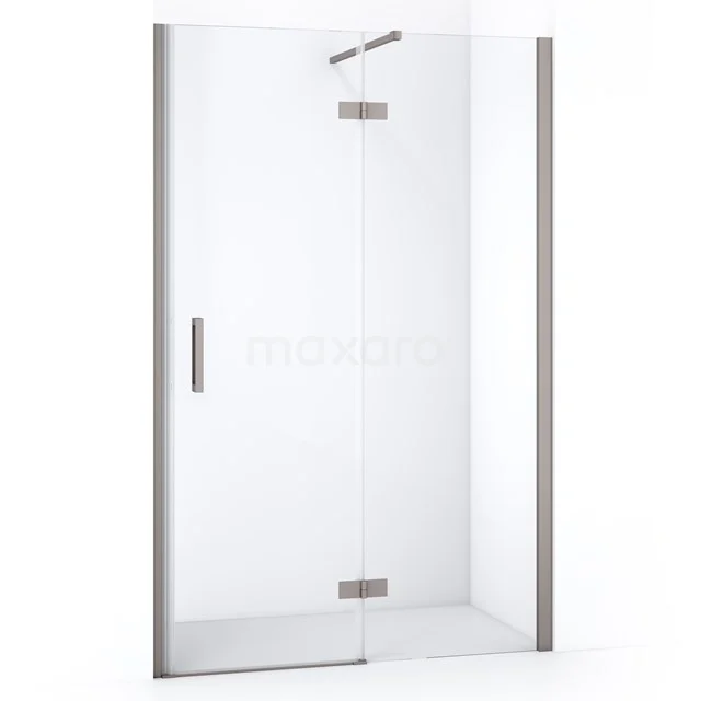 Diamond Shower door | 110 cm Stainless steel Clear glass Pivot door DDB22652110BR