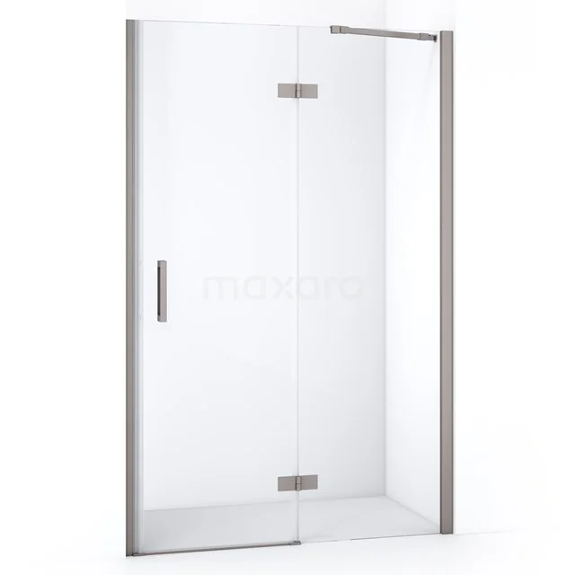 Diamond Shower door | 120 cm Stainless steel Clear glass Pivot door DDB22662210BR