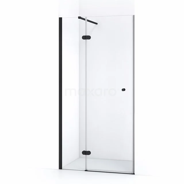 Amber Shower door | 100 cm Matte black Clear glass Pivot door WTB36120M